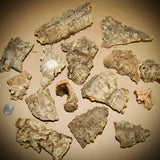 Cork Haven micro cork bark bits 1 to 3 inch pieces for reptile hides tarantulas and terrariums