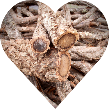 Cork Haven Sellers Choice bulk virgin cork bark branches for reptiles and terrariums