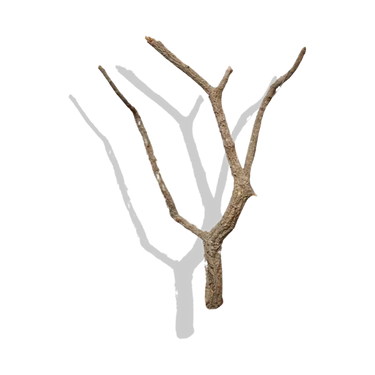 Cork Haven Sellers Choice bulk virgin cork bark branches for reptiles and terrariums