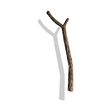 Cork Haven Sellers Choice bulk virgin cork bark branches for reptiles and terrariums