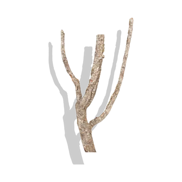 Cork Haven Sellers Choice bulk virgin cork bark branches for reptiles and terrariums
