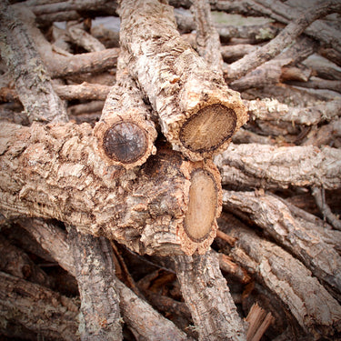 Cork Haven Sellers Choice bulk virgin cork bark branches for reptiles and terrariums