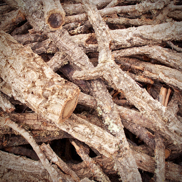 Cork Haven Sellers Choice bulk virgin cork bark branches for reptiles and terrariums