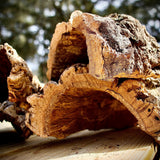 Cork Haven virgin cork bark half rounds for reptile hides snake enclosures and terrarium décor