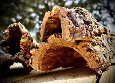 Cork Haven virgin cork bark half rounds for reptile hides snake enclosures and terrarium décor