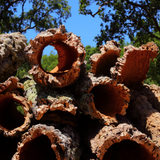 Cork Haven Sellers Choice bulk cork bark rounds for reptile hides and vivarium décor