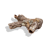 Cork Haven micro cork bark pieces for small reptile hides baby tarantulas and miniature orchid mounts