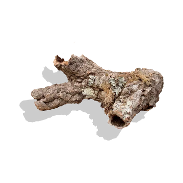 Cork Haven micro cork bark pieces for small reptile hides baby tarantulas and miniature orchid mounts