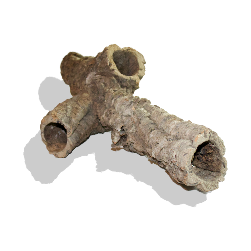 Bulk Cork Bark Rounds (Sellers Choice) Cork Haven