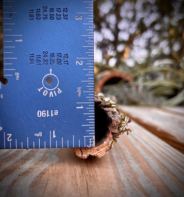 Cork Haven micro cork bark pieces for small reptile hides baby tarantulas and miniature orchid mounts