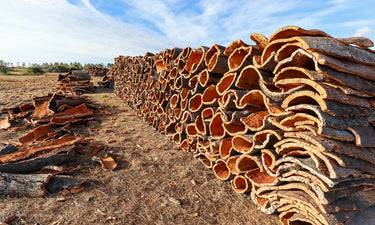 Cork Haven Sellers Choice bulk cork bark flats for vivarium backgrounds and orchid mounting