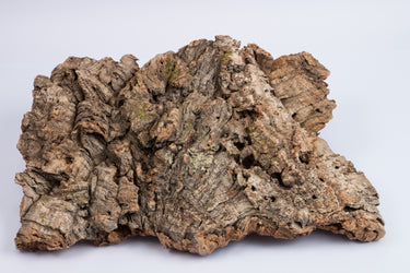 Cork Haven Sellers Choice bulk cork bark flats for vivarium backgrounds and orchid mounting