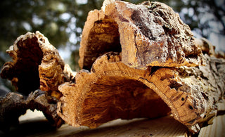 How to Use Cork Bark in a Reptile Terrarium