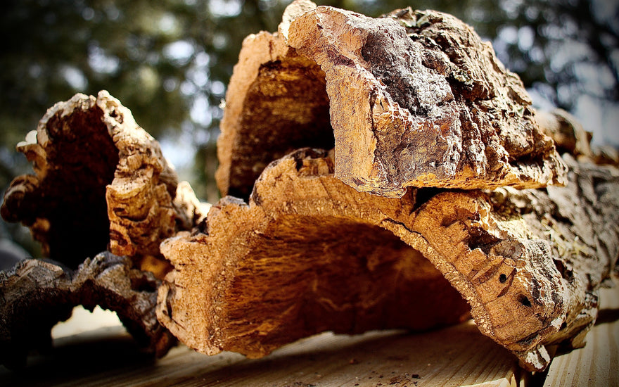 How to Use Cork Bark in a Reptile Terrarium