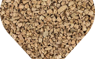 Cork Bark for Bioactive Terrariums: What to Know