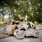 Cork Haven micro cork bark bits 1 to 3 inch pieces for reptile hides tarantulas and terrariums