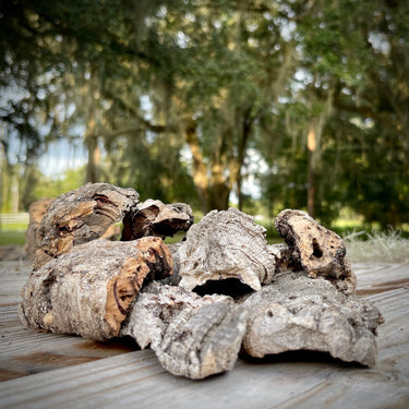 Cork Haven micro cork bark bits 1 to 3 inch pieces for reptile hides tarantulas and terrariums