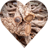 Cork Haven Sellers Choice bulk virgin cork bark branches for reptiles and terrariums