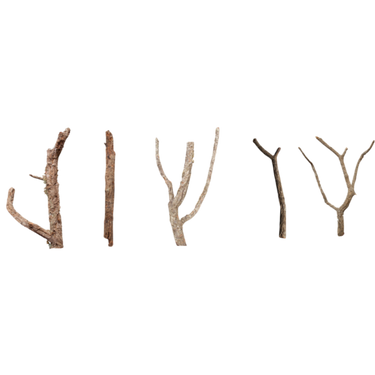 Cork Bark Branches (Customizable)