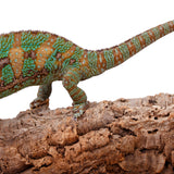 Cork Haven premium virgin cork bark rounds and tubes for reptile hides and vivariums