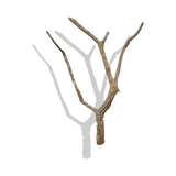 Cork Haven Sellers Choice bulk virgin cork bark branches for reptiles and terrariums