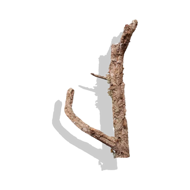 Cork Haven Sellers Choice bulk virgin cork bark branches for reptiles and terrariums