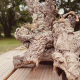Micro Pieces cork haven premium virgin cork bark