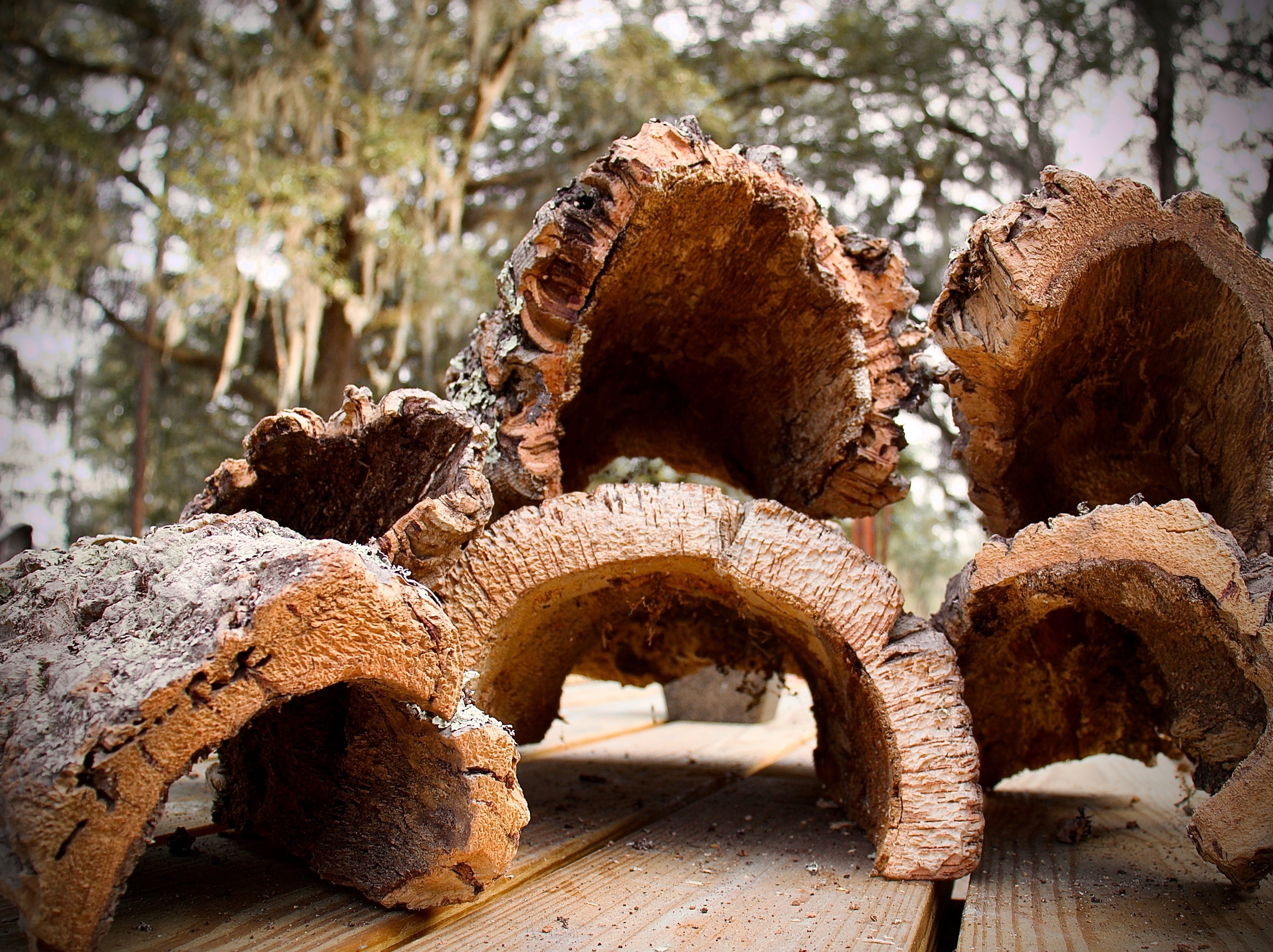 Cork Bark Half Rounds (Customizable) – Cork Haven