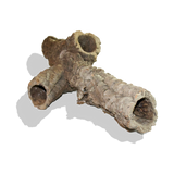 Cork Haven virgin cork bark rounds and tubes for reptile hides snake tunnels and terrariums