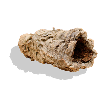 Bulk Cork Bark Rounds (Sellers Choice) cork haven premium virgin cork bark