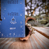 Cork Haven micro cork bark pieces for small reptile hides baby tarantulas and miniature orchid mounts